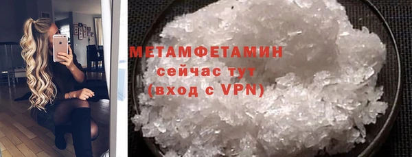 ГАЛЛЮЦИНОГЕННЫЕ ГРИБЫ Бородино