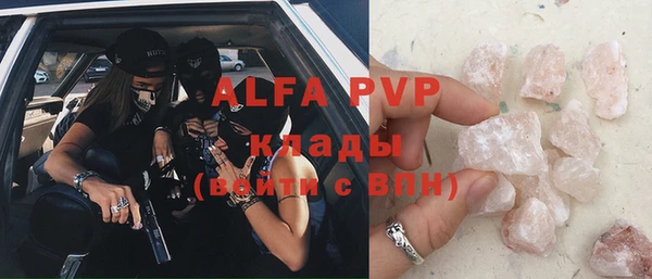 ГАЛЛЮЦИНОГЕННЫЕ ГРИБЫ Бородино