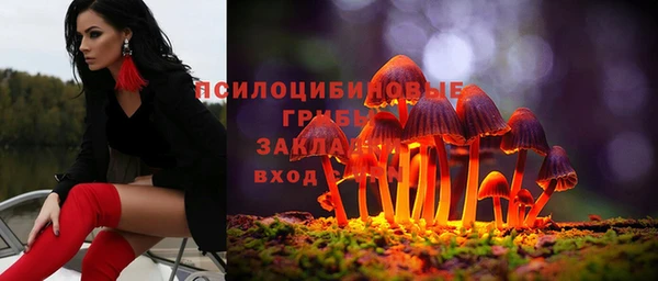 ГАЛЛЮЦИНОГЕННЫЕ ГРИБЫ Бородино