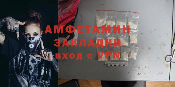 ГАЛЛЮЦИНОГЕННЫЕ ГРИБЫ Бородино