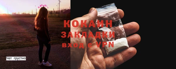 ГАЛЛЮЦИНОГЕННЫЕ ГРИБЫ Бородино