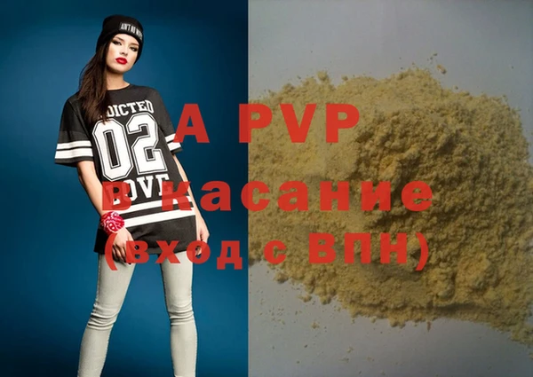ГАЛЛЮЦИНОГЕННЫЕ ГРИБЫ Бородино
