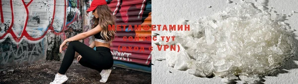 ГАЛЛЮЦИНОГЕННЫЕ ГРИБЫ Бородино